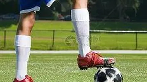 开云体育娱乐 产品 092945 svn