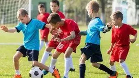 开云体育娱乐 产品 092535 4t4