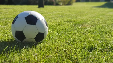 开云体育娱乐 产品 084755 8im